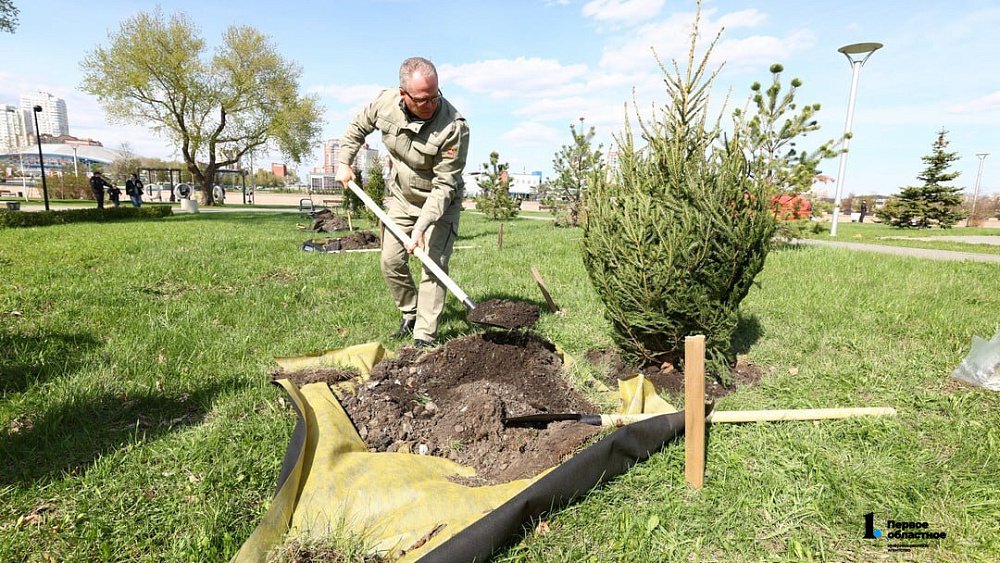 В Челябинске высадили ели в память о героях Великой Отечественной войны
