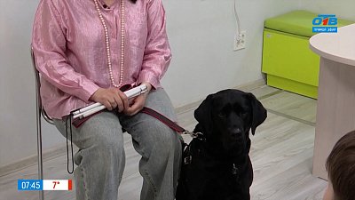 Самый верный помощник незрячих людей в сюжете «День собак-поводырей»