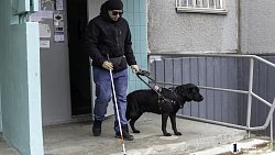 «Он для меня больше чем просто поводырь»: челябинец о жизни с необычной собакой