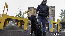 «Он для меня больше чем просто поводырь»: челябинец о жизни с необычной собакой