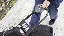 «Он для меня больше чем просто поводырь»: челябинец о жизни с необычной собакой