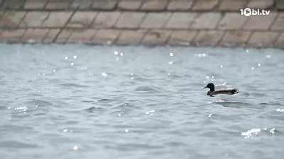 В Челябинской области ожидается облачная погода с дождями