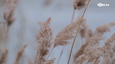 В Челябинской области будет жаркая погода