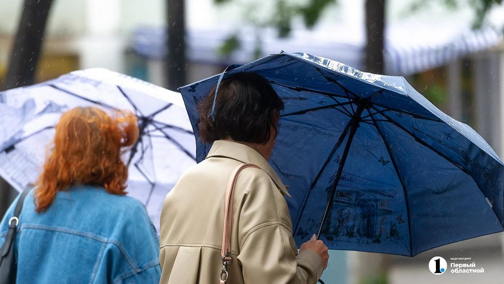 В Челябинской области будет дождливо 3 мая