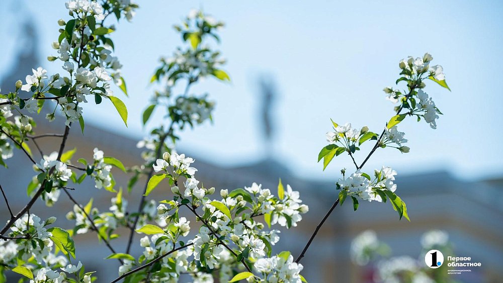 Летнее тепло до +25 градусов ожидает жителей Челябинской области 5 мая