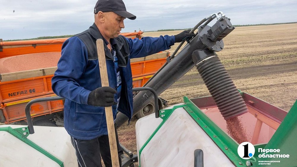 Как проходит яровой сев в Челябинской области