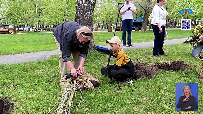 Юные создатели кино заложили новую аллею