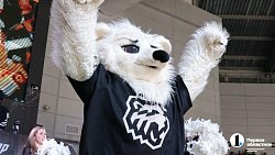 «Трактор» второй раз в своей истории сыграет в финале Кубка Гагарина