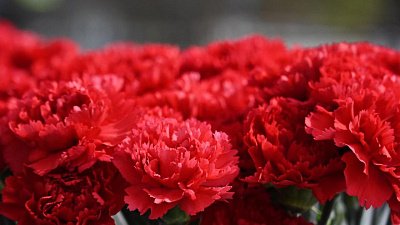 Проект «Воспоминания ветеранов...» — об ужасах войны