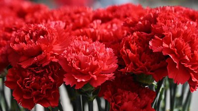 Проект «Воспоминания ветеранов...» — о войне