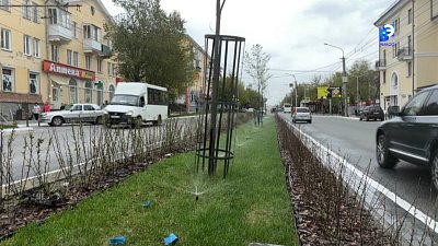 На проспекте Автозаводцев заработает система автополива