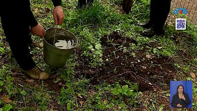 В Челябинске заложили «Аллею Доблести и Славы»