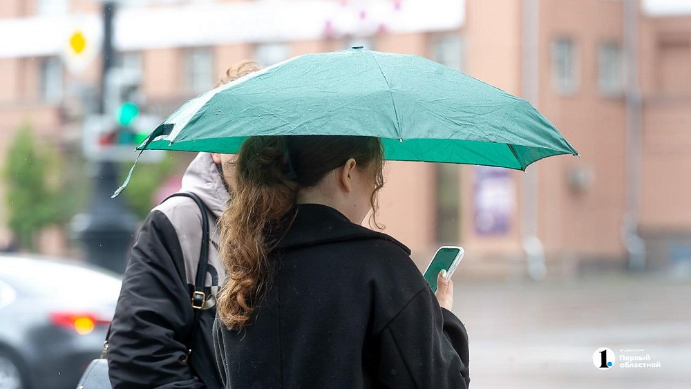 Дождь и порывистый ветер ожидаются в Челябинской области 11 мая