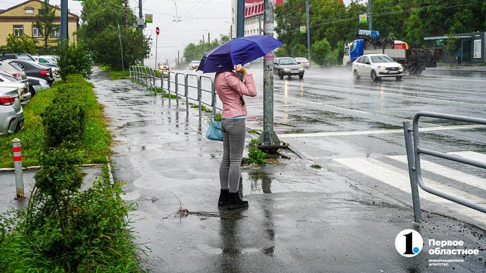 В Челябинской области будет дождливо 11 мая