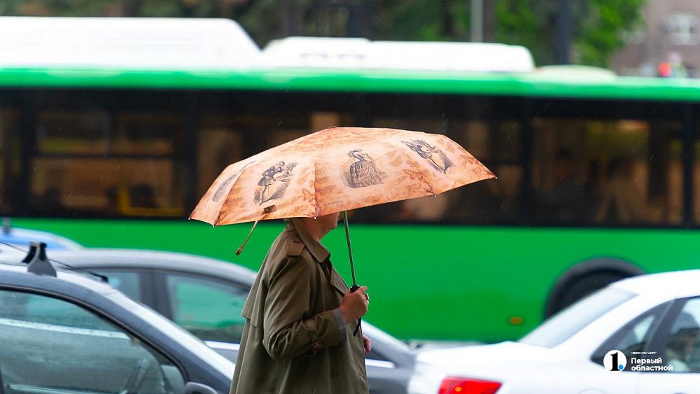 Максимум +17 градусов и дожди ожидаются в Челябинской области 12 мая