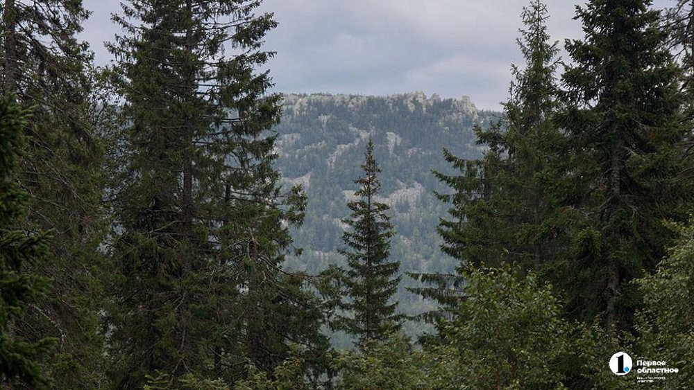 Ильменский заповедник в Челябинской области отмечает 105‑летие
