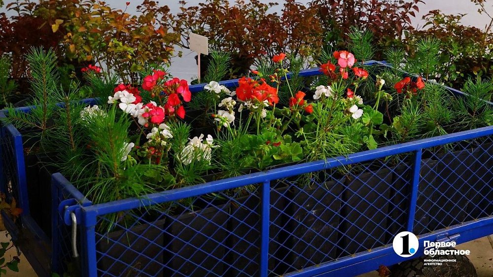 Челябинск украсят живыми цветами в мае