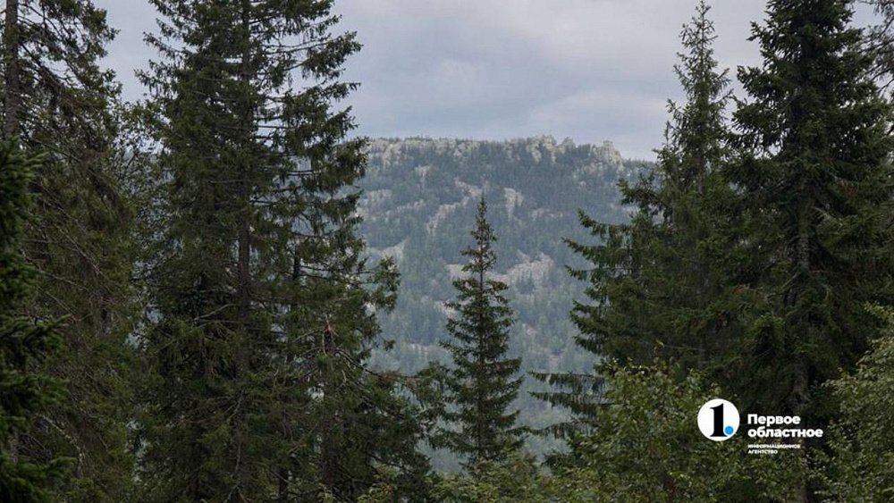 Четверо туристов заблудились на хребте Уреньга под Златоустом