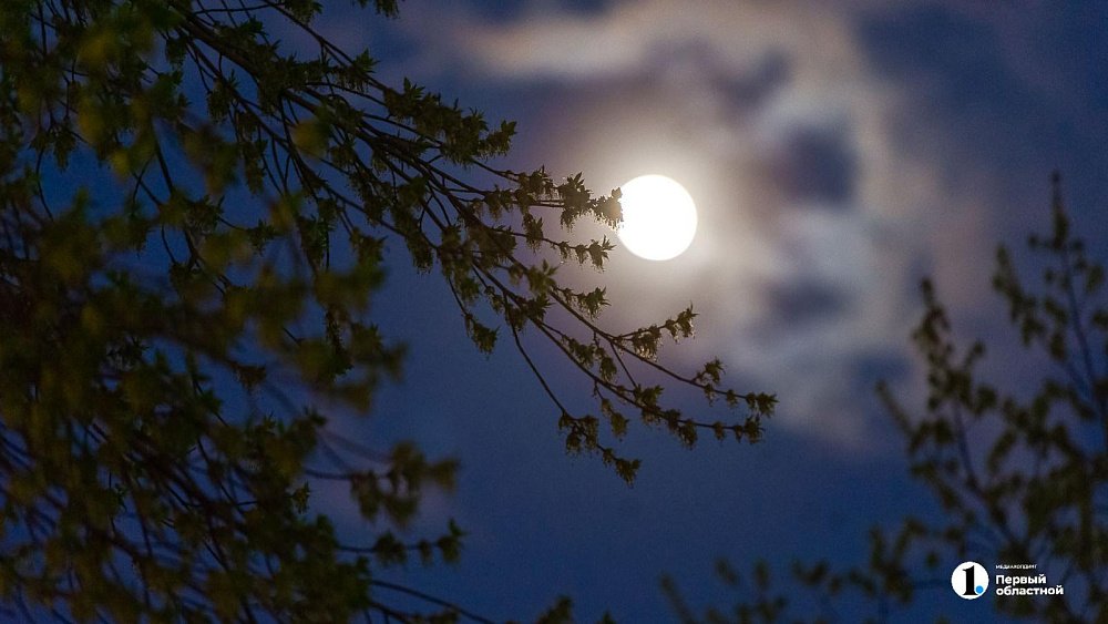 Ночные заморозки до −1 градуса сохранятся в Челябинской области 14 мая