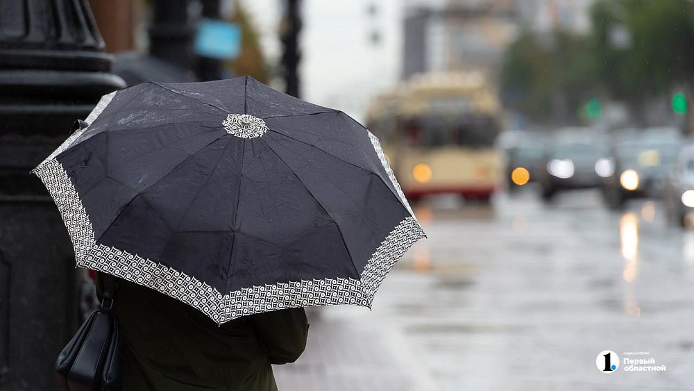 Утренний туман и кратковременные дожди с грозами ожидаются в Челябинской области 14 мая