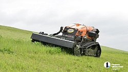 Петунии для улиц Челябинска выращены на месте бывшей городской свалки