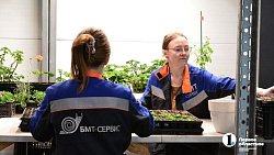 Петунии для улиц Челябинска выращены на месте бывшей городской свалки