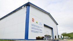 Петунии для улиц Челябинска выращены на месте бывшей городской свалки