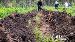 В городском бору Челябинска высадили более 6 с половиной тысяч молодых сосен