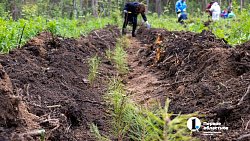 В городском бору Челябинска высадили более 6 с половиной тысяч молодых сосен