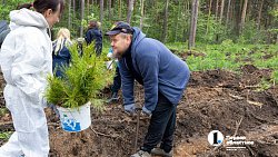 В городском бору Челябинска высадили более 6 с половиной тысяч молодых сосен