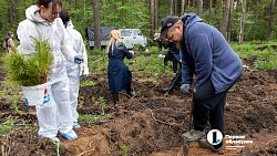 В городском бору Челябинска высадили более 6 с половиной тысяч молодых сосен