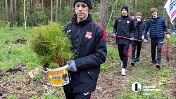 В городском бору Челябинска высадили более 6 с половиной тысяч молодых сосен