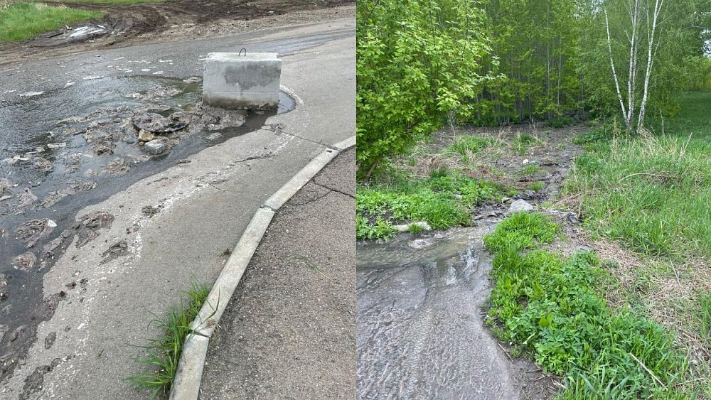 Под Челябинском канализационные стоки топят лес