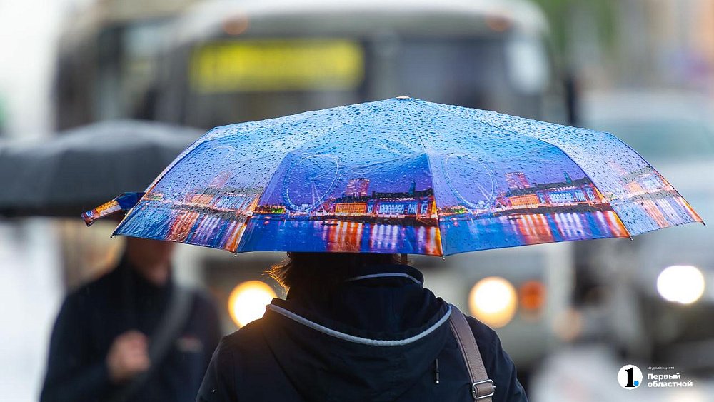 Небольшие дожди пройдут в Челябинской области 19 мая