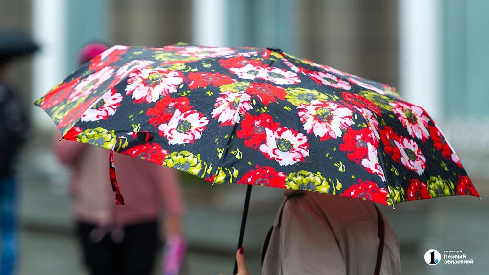 В Челябинской области будет ветрено и пройдут небольшие дожди 19 мая