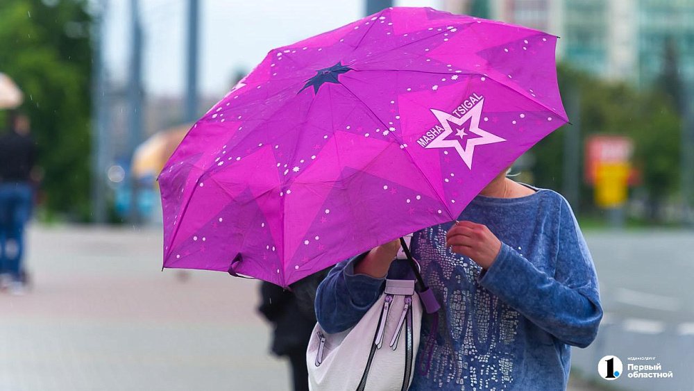 Теплая и ненастная погода ждет жителей Челябинской области 20 мая