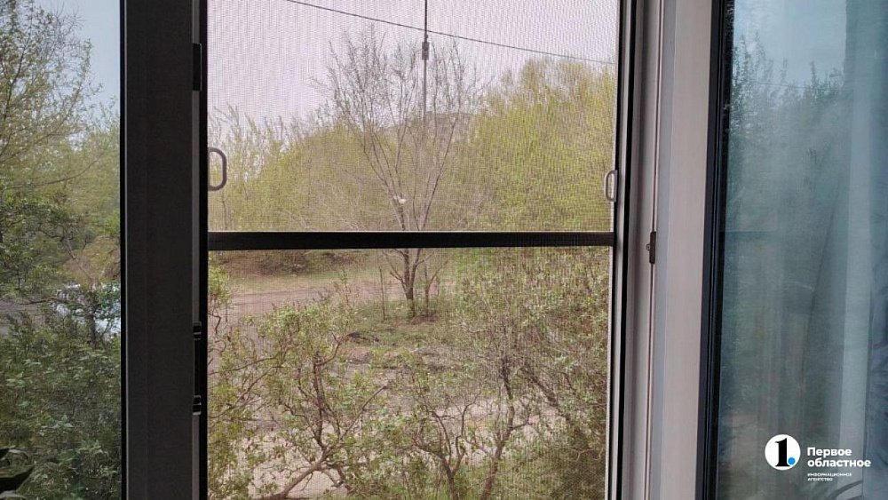 Жители Челябинской области спасаются от комаров