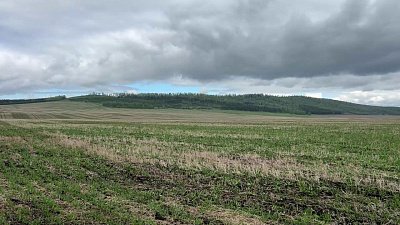 В Чебаркульском районе идет посевная кампания