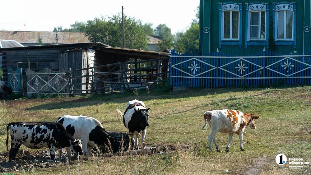 Южный Урал вошел в топ‑10 регионов по бронированию изб