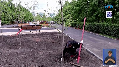 В Челябинске рождаются новые скверы