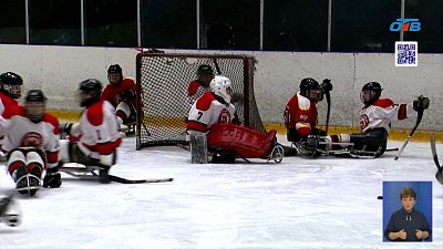 Команде по следж-хоккею подарили новые клюшки