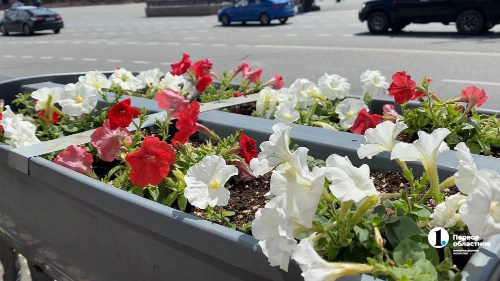 За две недели улицы Челябинска украсят кашпо с петуниями