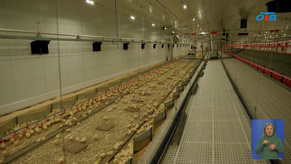 Дмитрий Патрушев и Алексей Текслер обсудили развитие агропромышленного комплекса