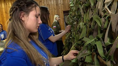 Молодые и пожилые челябинцы плетут маскировочные сети