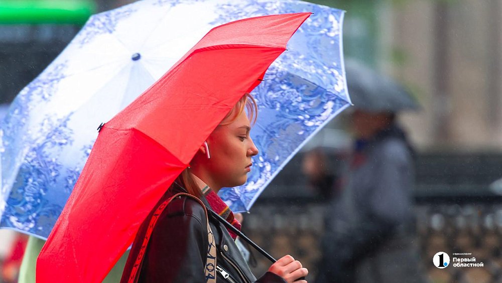 Северный ветер и кратковременные дожди ожидаются в Челябинской области 24 мая