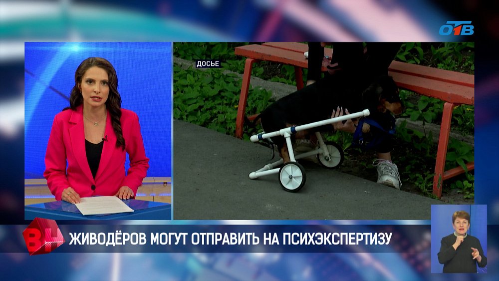 Живодёров могут отправить на психэкспертизу