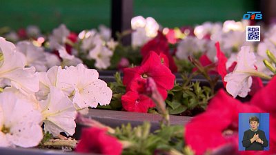 Челябинск украшают кашпо с петуньями