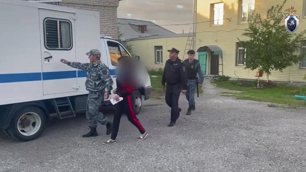 В Челябинской области заказавшую убийство дочки женщину заключили под стражу