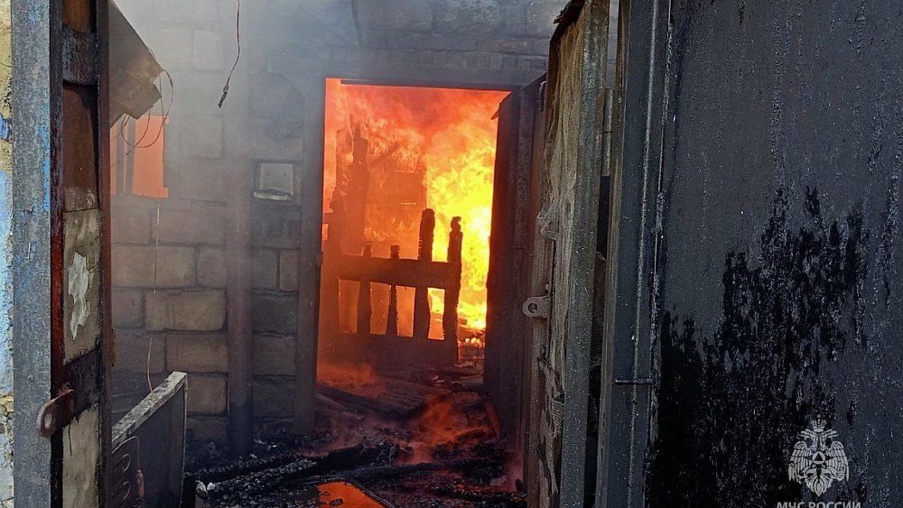 В Сатке пожарные спасли из горящих гаражей шесть свиней