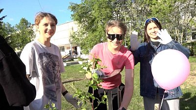 В Снежинске появилась аллея из декоративных яблонь